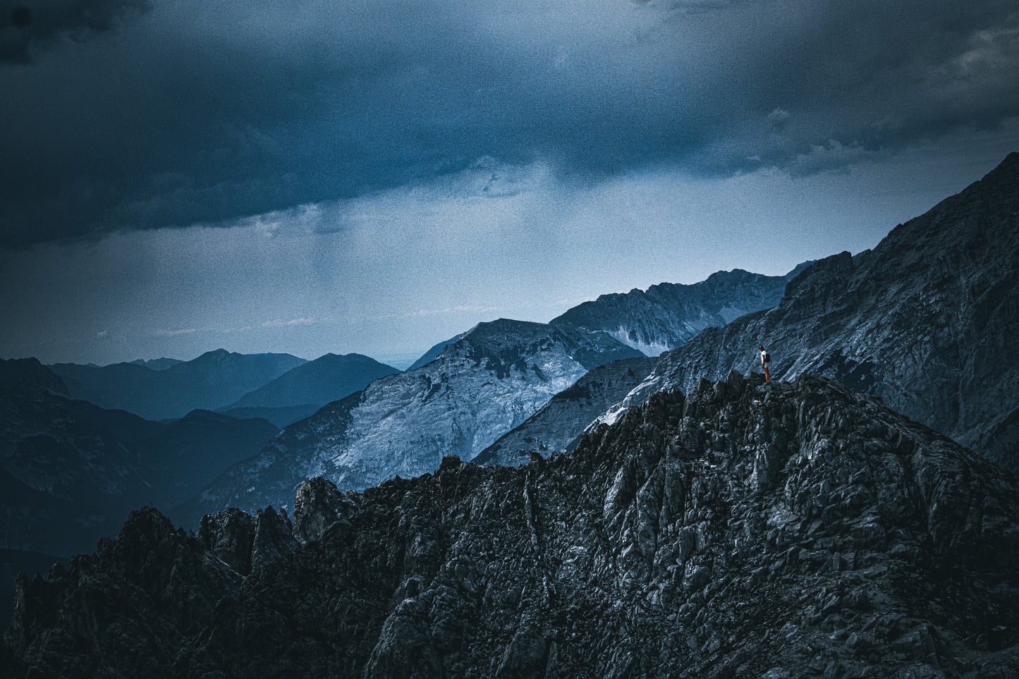 Into the Wild