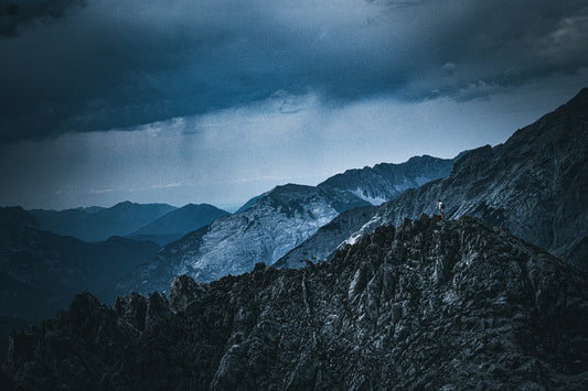 Into the Wild